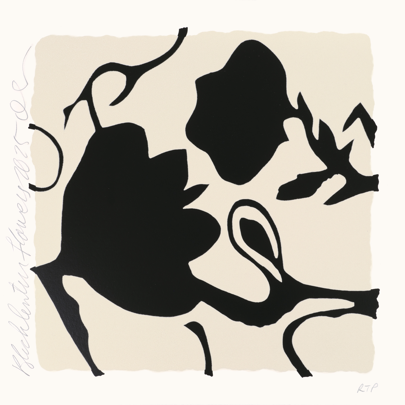 DS Black Lantern Flowers 2025