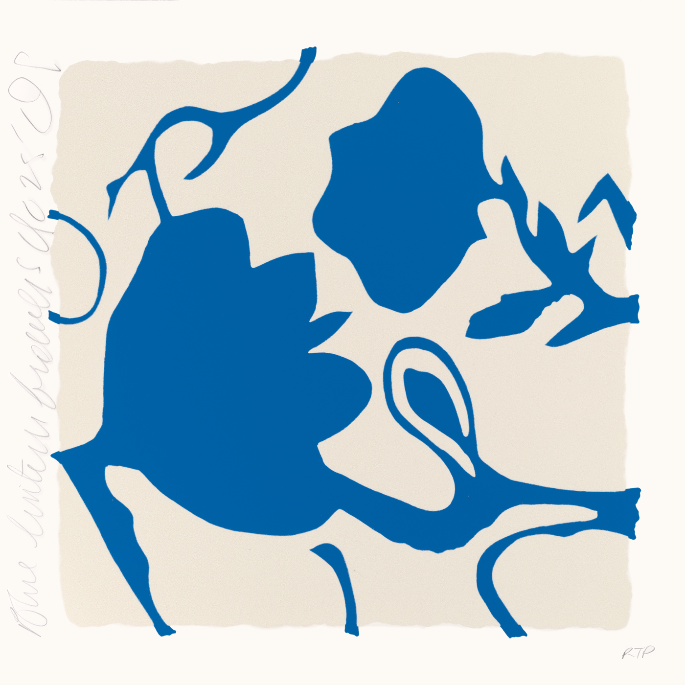 DS Blue Lantern Flowers 2025