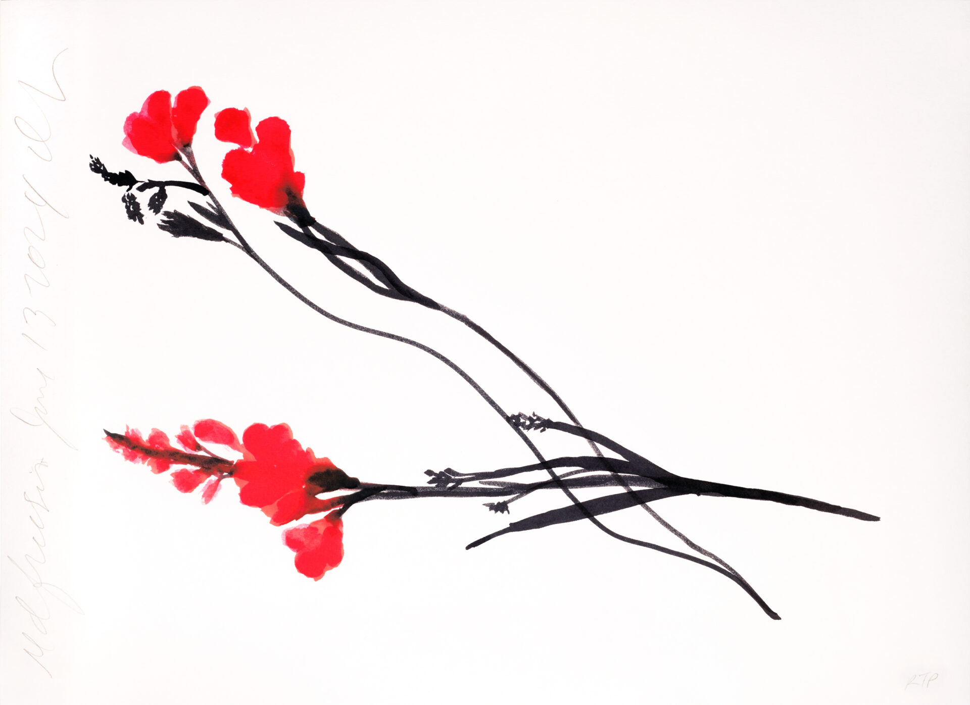 DS Red Freesia June 13, 2024