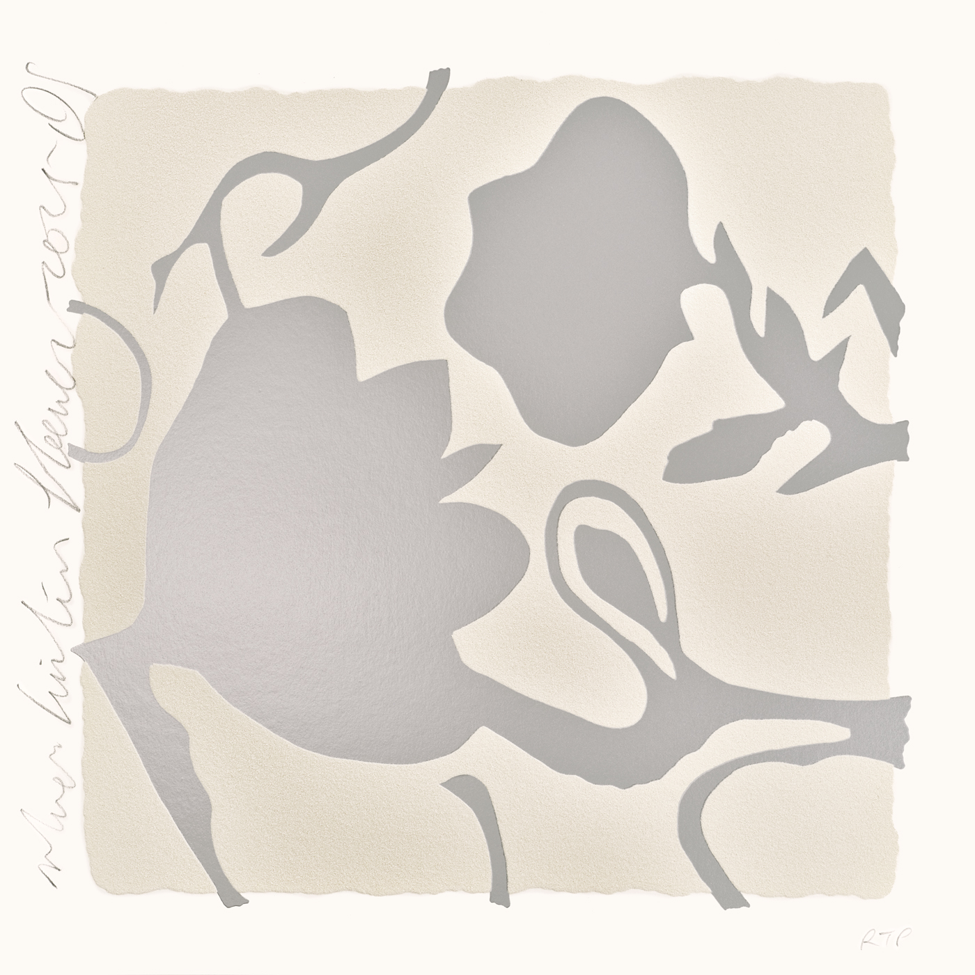 DS Silver Lantern Flowers 2025