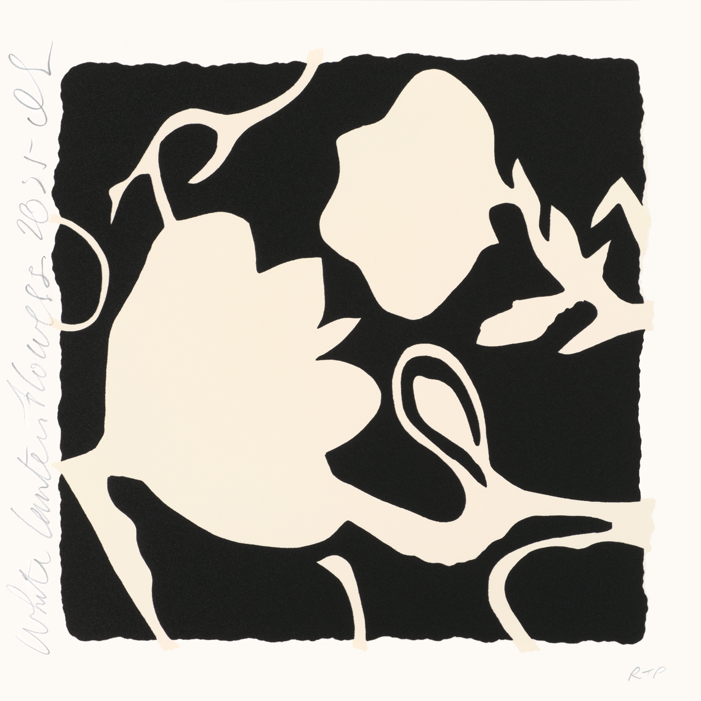 DS White Lantern Flowers 2025