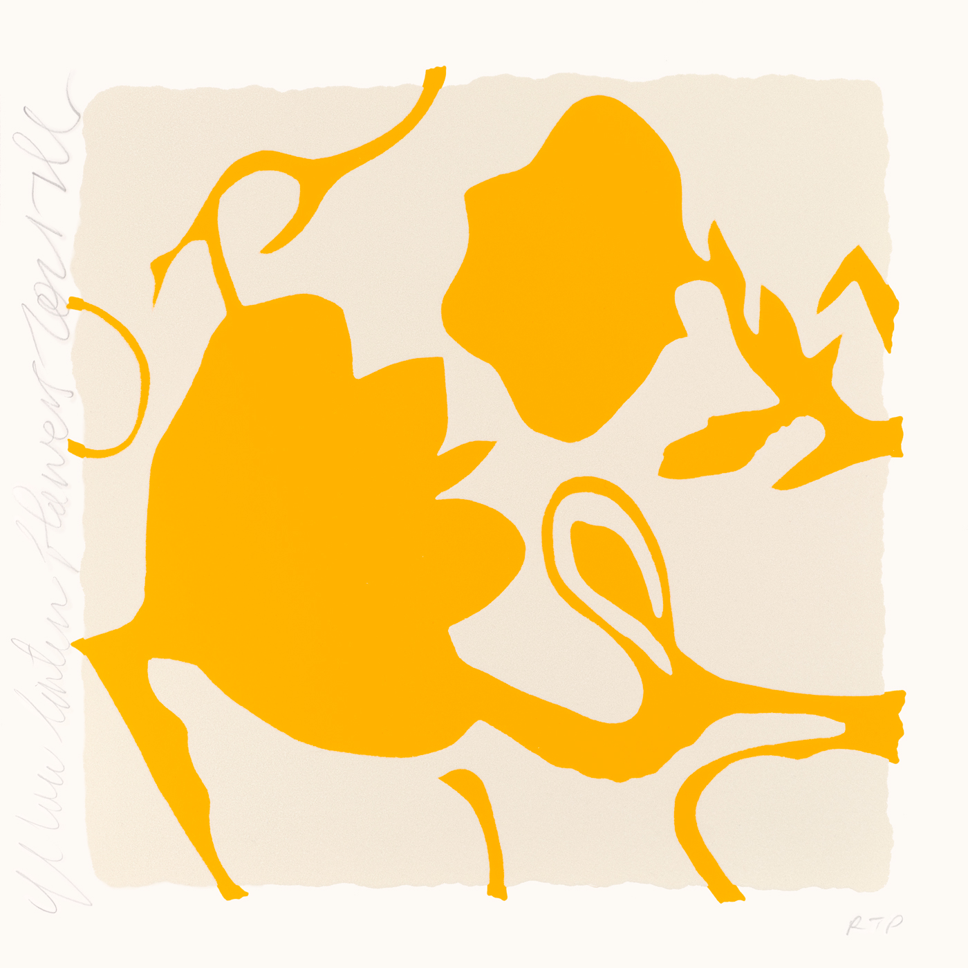 DS Yellow Lantern Flowers 2025