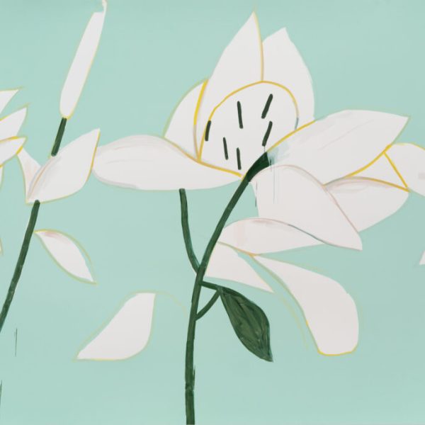 AK White Lilies 6